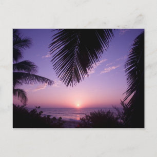Carte Postale Coucher de soleil à West End, Cayman Brac, Îles Ca