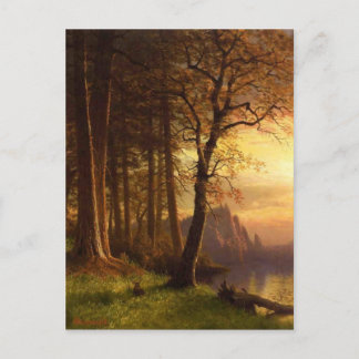 Carte Postale Coucher de soleil à Yosemite