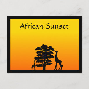 Carte Postale Coucher de soleil africain