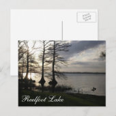 Carte Postale Coucher de soleil au lac Reelfoot (Devant / Derrière)