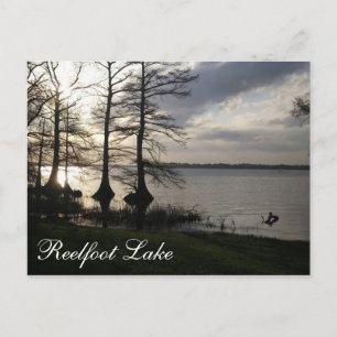 Carte Postale Coucher de soleil au lac Reelfoot
