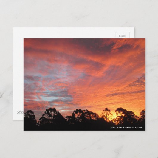 Carte Postale Coucher de soleil australien (Devant / Derrière)