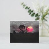 Carte Postale Coucher De Soleil Avec Arbre (Debout devant)