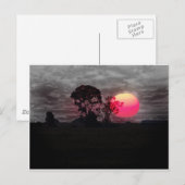 Carte Postale Coucher De Soleil Avec Arbre (Devant / Derrière)