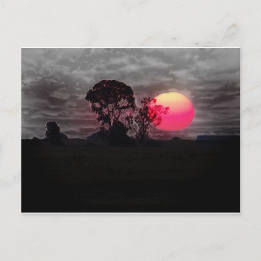 Carte Postale Coucher De Soleil Avec Arbre (Devant)