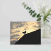 Carte Postale Coucher de soleil avec mouette (Debout devant)