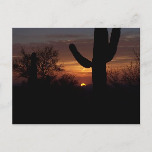 Carte Postale Coucher de soleil AZ 1 (Devant)