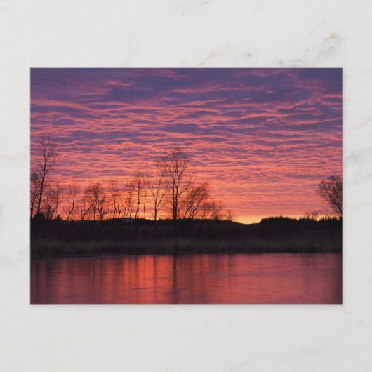 Carte Postale Coucher de soleil brillant se reflétant dans la ri (Devant)