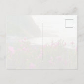 Carte Postale Coucher de soleil côtier à Madère (Dos)