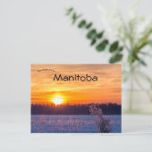 Carte Postale Coucher de soleil dans le lac Audy Manitoba (Debout devant)