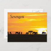 Carte Postale Coucher de soleil dans le Serengeti (Devant / Derrière)
