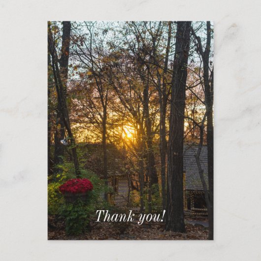 Carte Postale Coucher de soleil dans les bois de Sdc (Devant)