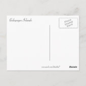 Carte Postale Coucher de soleil dans les îles Galapagos (Dos)