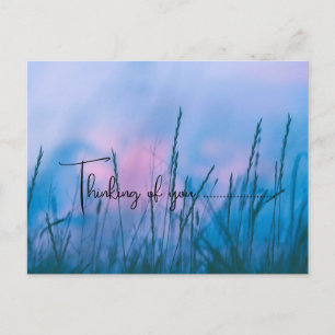 Carte Postale coucher de soleil dans les mauvaises herbes