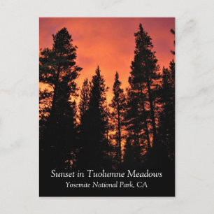 Carte Postale Coucher de soleil dans Tuolumne Meadows, Yosemite,