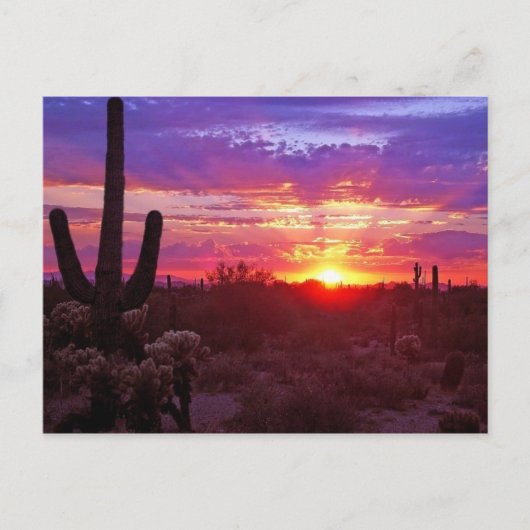 Carte Postale coucher de soleil d'arizona (Devant)