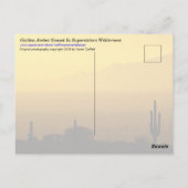 Carte Postale Coucher de soleil d'Arizona d'or avec Saquaro Cact (Dos)