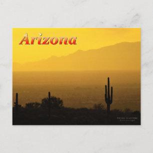 Carte Postale Coucher de soleil d'Arizona d'or avec Saquaro Cact
