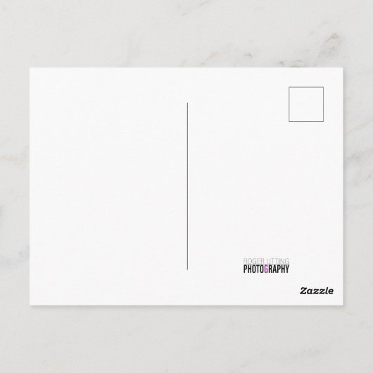 Carte Postale Coucher de soleil de Brighton (Dos)