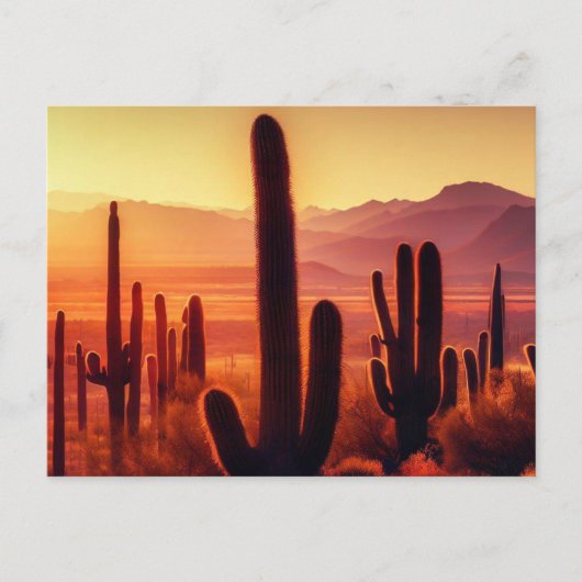 Carte Postale Coucher de soleil de cactus du désert de l'Arizona (Devant)