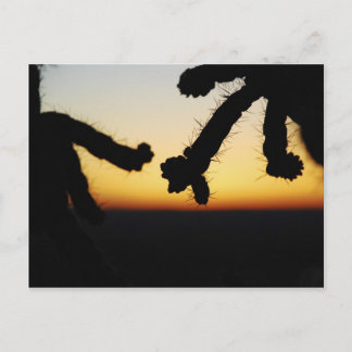 Carte Postale Coucher de soleil de Cactus - Orange