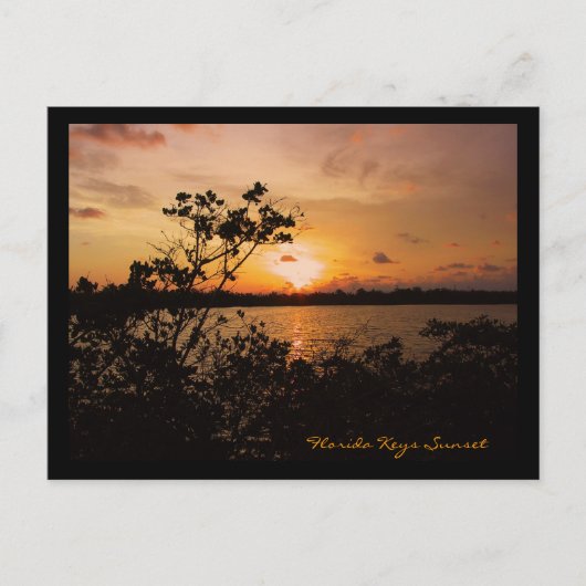 Carte Postale Coucher de soleil de Florida Keys (Devant)