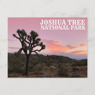 Carte Postale Coucher de soleil de Joshua Tree Californie