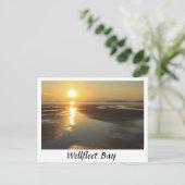 Carte Postale Coucher de soleil de la baie Wellfleet Cape Cod (Debout devant)
