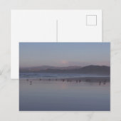 Carte Postale Coucher de soleil de la côte de Californie (Devant / Derrière)