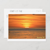 Carte Postale Coucher de soleil de la mer de Floride (Devant / Derrière)