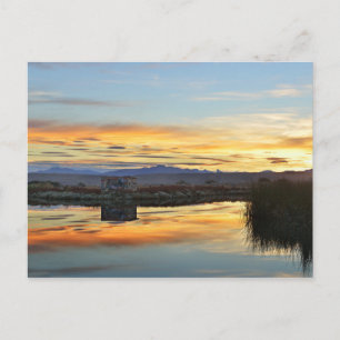 Carte Postale Coucher de soleil de Laguna Nimez, El Calafate, Ar
