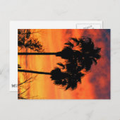 Carte Postale Coucher de soleil de l'Arizona (Devant / Derrière)