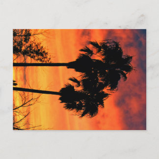 Carte Postale Coucher de soleil de l'Arizona