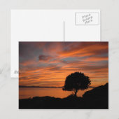 Carte Postale Coucher de soleil de Madrone (Devant / Derrière)