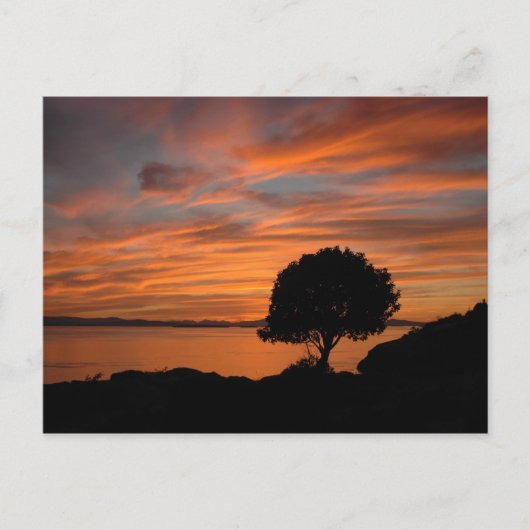 Carte Postale Coucher de soleil de Madrone (Devant)