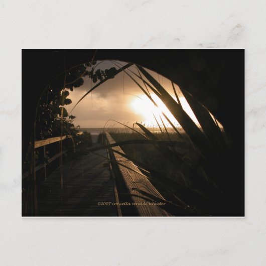 Carte Postale Coucher de soleil de Naples (Devant)