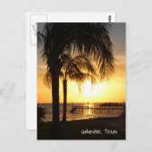 Carte Postale Coucher de soleil de palmier (Devant / Derrière)