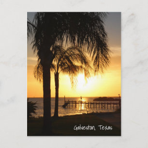 Carte Postale Coucher de soleil de palmier