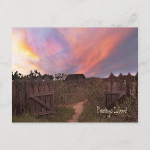 Carte postale Coucher de soleil de Pawleys Island
