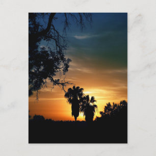 Carte Postale Coucher de soleil de San Diego