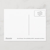 Carte Postale Coucher de soleil de Sea Gull (Dos)