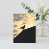 Carte Postale Coucher de soleil de Sea Gull (Debout devant)