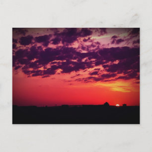 Carte Postale Coucher de soleil de Tampa Bay