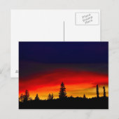 Carte Postale Coucher de soleil de Yellowstone (Devant / Derrière)