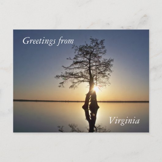 Carte Postale Coucher de soleil derrière un arbre (Devant)