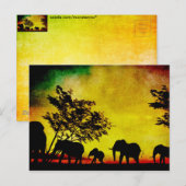 Carte Postale Coucher de soleil des éléphants (Devant / Derrière)