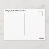 Carte postale "Coucher de soleil des îles Caïmans" (Dos)