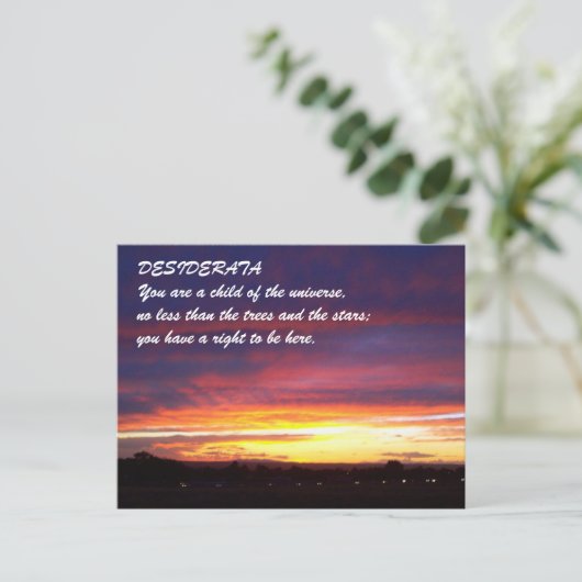 Carte Postale coucher de soleil DESIDERATA (Debout devant)