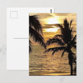 Carte Postale Coucher de soleil d'été de Puerto Vallarta (Devant / Derrière)