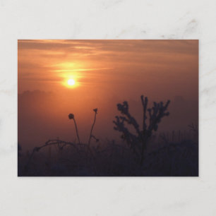 Carte Postale Coucher de soleil d'hiver, Norfolk, Angleterre - C
